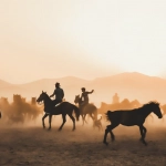 Wild West Gold - увлекательное хобби для любителей вестернов