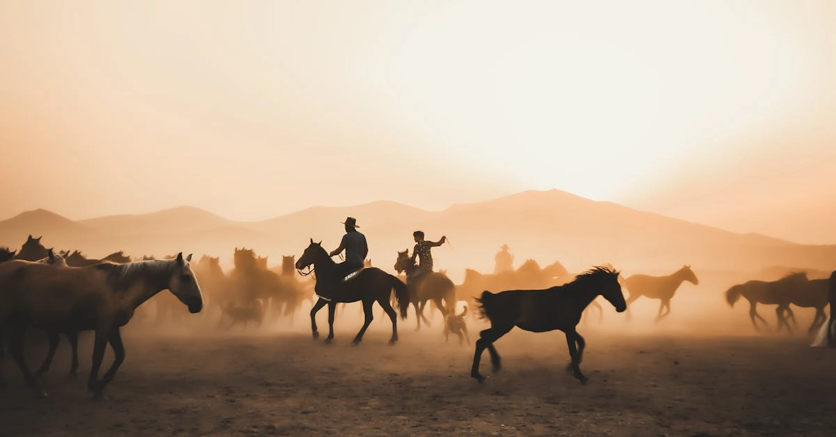 Wild West Gold - увлекательное хобби для любителей вестернов